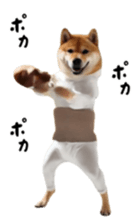 765299252