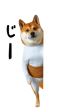 765299254
