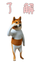 765299255