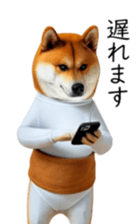 765299256