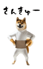 765299257
