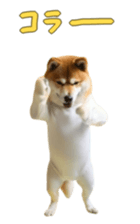 765299259