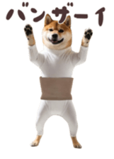 765299263