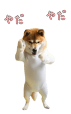 765299266