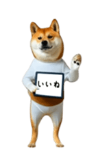 765299269