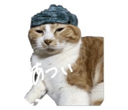 765300850
