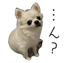 765301705