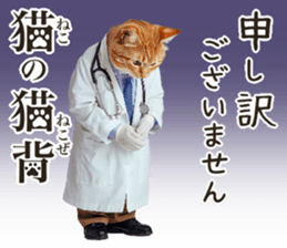 765306061