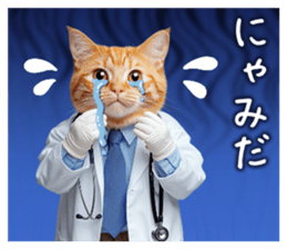765306066
