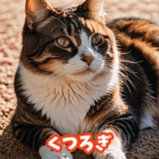 765308661