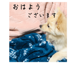 765312401