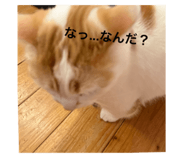 765326558