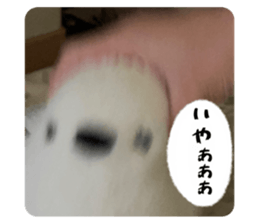 765327211