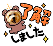 765329440