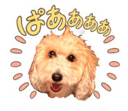 765329448