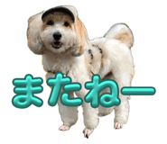 765329449