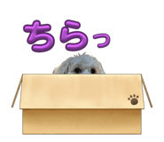 765329453