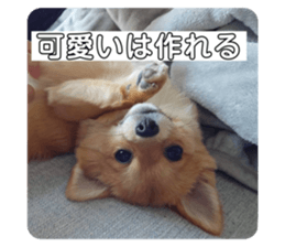 765330369
