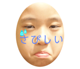 765331617