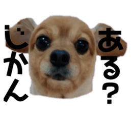 765334431