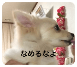 765335085