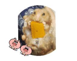 765338545