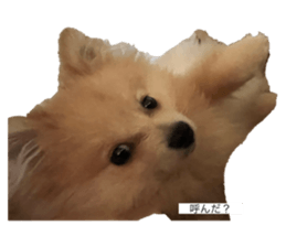 765346039