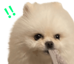 765346060