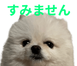 765346064