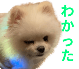 765346069