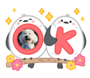 765347309