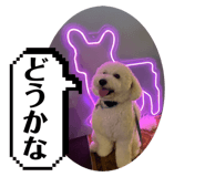 765347311