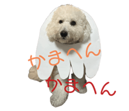765347330