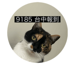 765358937