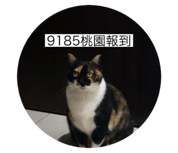 765358938