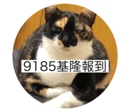 765358939