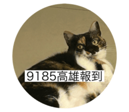 765358940