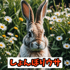 765361074