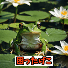 765361086