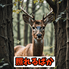 765361096
