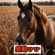 765361098