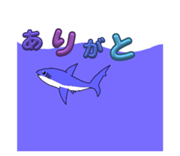 765365081