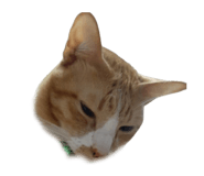 765372676