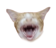 765372691