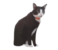 765372700