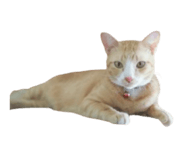765372705