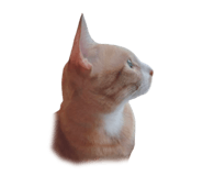 765372706