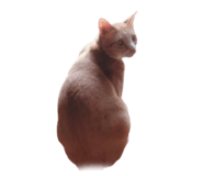 765372708