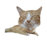 765372710