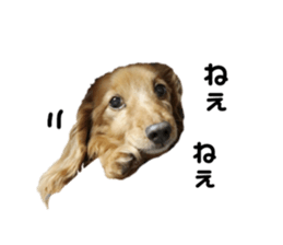765415180
